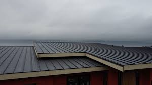 Best Roof Coating and Sealing  in Winnsboro, SC